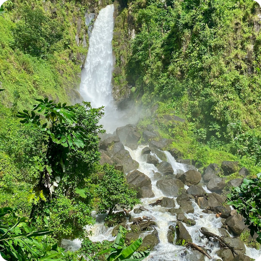 Dominica eSIM